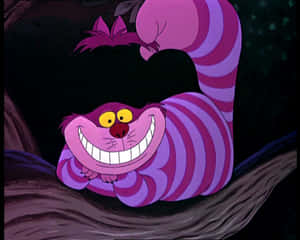 Imágenes del Gato de Cheshire — Gato de Cheshire Fondos de pantalla