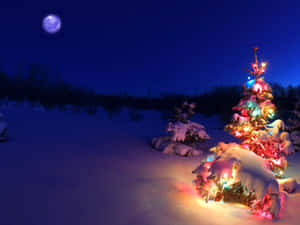 Fondo de Un Cuento de Navidad — Un cuento de navidad Fondos de pantalla