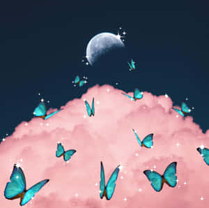 Imágenes de mariposas estéticas — Mariposa aesthetic Fondos de pantalla