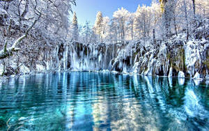 Fondo de pantalla de lago nevado de bosque frío — Frío Fondos de pantalla