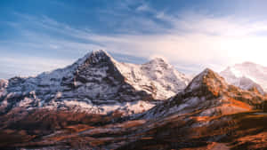 Hermoso fondo de naturaleza