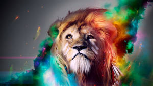 Fondo de pantalla de león con humo colorido. — 2560x1440 Fondos de pantalla