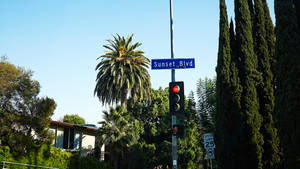 Fondo de pantalla del letrero azul de Sunset Boulevard
