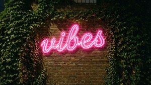 Letrero de neón 'vibes' sobre pared de ladrillo cubierta de hiedra por la noche. — Estética indie GIF Fondos de pantalla