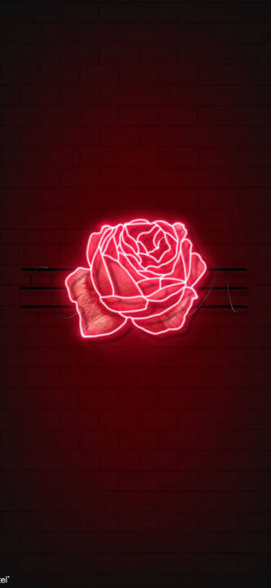 Fondo de pantalla de rosa roja LED — iPhone 11 Pro Fondos de pantalla