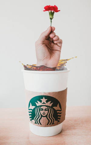 Mano Starbucks iPhone — Honor Pad 20 Pro Fondos de pantalla