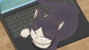 Leyenda: Un Momento de Cálida Compañía — Gato anime Fondos de pantalla