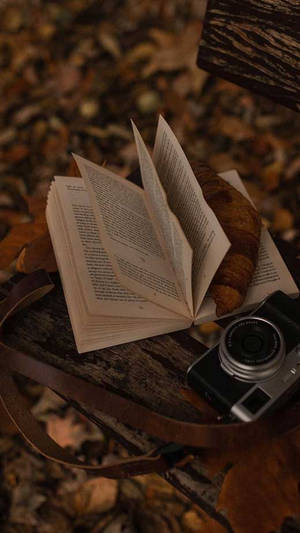Libro y cámara estética marrón oscuro