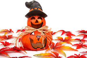 Fondo de pantalla de linda calabaza de Halloween de otoño. — Estética linda de halloween Fondos de pantalla
