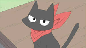 Imágenes de gato anime — Gato anime Fondos de pantalla