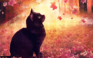 Lindas fotos de otoño — Otoño lindo Fondos de pantalla