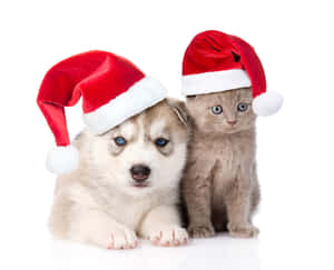 Lindas imágenes navideñas estéticas