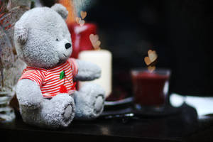 Fondo de pantalla de lindo osito de peluche gris.