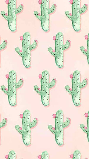 Lindos cactus verdes para pantalla de bloqueo de iPhone — Estética rosa pastel Fondos de pantalla