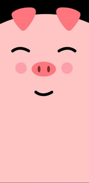 Fondo de cerdito lindo — Cerdito lindo Fondos de pantalla