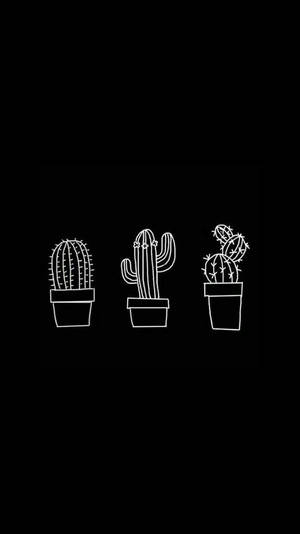 Lindos dibujos de cactus en blanco y negro con estética — Blanco y negro estético Fondos de pantalla
