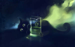 Fondo de pantalla de lindo gatito negro detrás de un vaso — Lindo negro Fondos de pantalla
