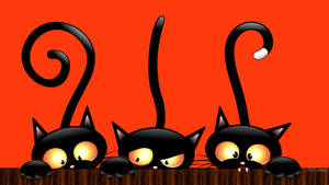 Lindos Gatos Negros de Halloween Estética — Estética linda de halloween Fondos de pantalla