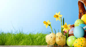 Lindos pollitos y huevos de Pascua