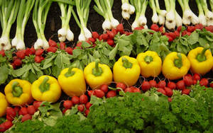 Fondo de pantalla de línea de verduras para salsa — 16:10 Fondos de pantalla