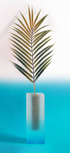 Planta Iphone — Floral iPhone Fondos de pantalla