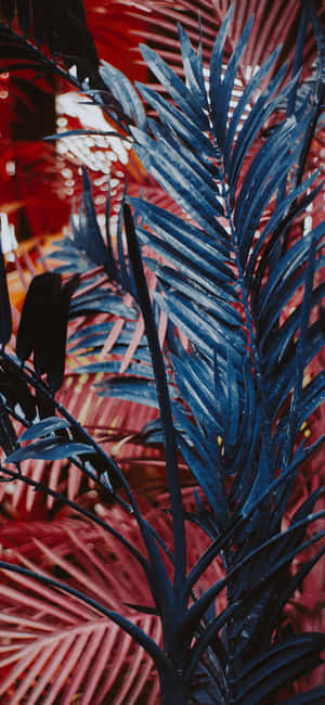 Teléfono Estético de Planta — Floral iPhone Fondos de pantalla