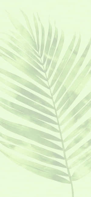 Fondo de estética verde — iPhone 16 Pro Fondos de pantalla