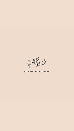 Fondo de pantalla de lluvia y flores con frases lindas