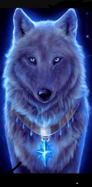 Lobo Azul Genial [fondo de pantalla] — Lobo Fondos de pantalla
