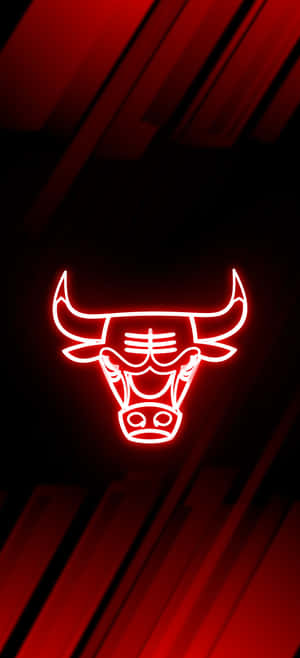 Chicago Bulls Phone — Vivo X300 Pro Fondos de pantalla