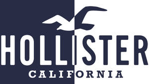 Fondo de pantalla del logotipo de Hollister en dos tonos — Simple Fondos de pantalla
