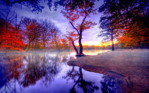 Fondo de pantalla de paisaje otoñal al atardecer — 1600x900 Fondos de pantalla
