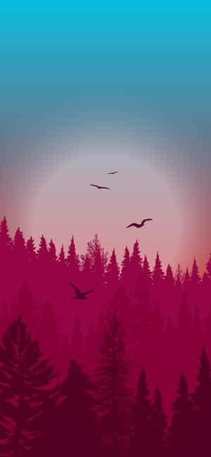Night Forest — iPhone 16e Fondos de pantalla