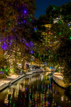 Luces Navideñas Mágicas Iluminan el Paseo del Río San Antonio — Luces de Navidad Fondos de pantalla
