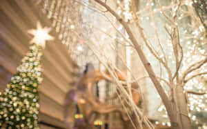Fondo de Luces Navideñas — Luces de Navidad Fondos de pantalla