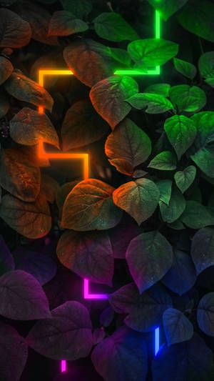 Luces neón oscuras con hojas — Neón iPhone Fondos de pantalla