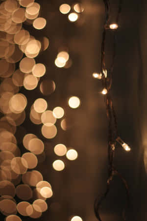 Luces Primaverales Encantadoras Iluminando un Sendero del Bosque — Xiaomi 18 Fold Fondos de pantalla