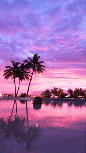 Fondo de pantalla de lugar tropical rosa con estética bonita