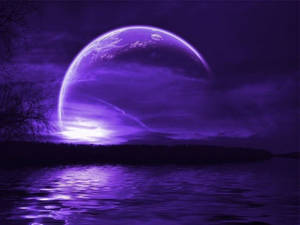 Fondo de pantalla Luna de neón encantadora — Luna neón Fondos de pantalla