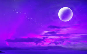 Fondo de pantalla de luna de neón y cielo púrpura — Luna neón Fondos de pantalla