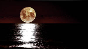 Luna en el Horizonte Cielo Nocturno — Cielo nocturno GIF Fondos de pantalla