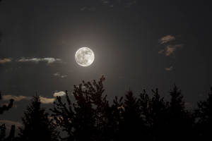 Luna Estética en Noche Silenciosa — Luna Noche Cielo Fondos de pantalla