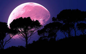 Fondo de pantalla de Luna Galáctica y Bosque — Galaxia luna Fondos de pantalla
