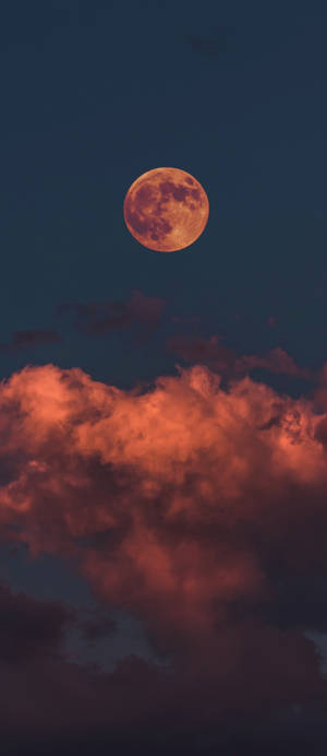 Fondo de pantalla de luna lunar de Halloween aterradora para iPhone — Galaxy Z Flip 7 Fondos de pantalla