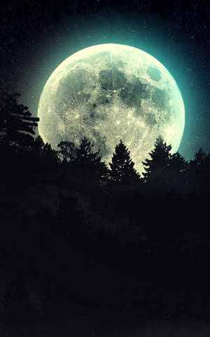 Luna Teléfono Pinos