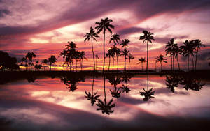 Macbook Air Atardecer en la Isla — MacBook Air Fondos de pantalla