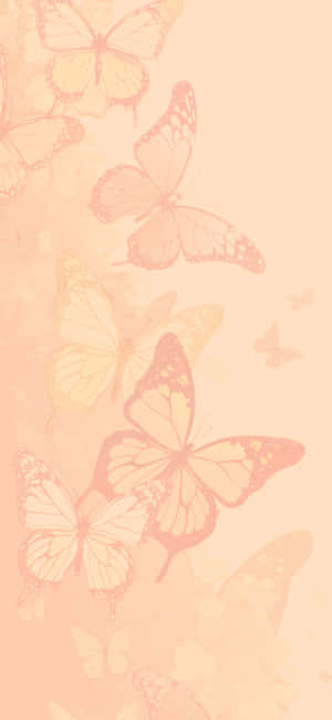 Magia Majestuosa de la Mariposa - Fondo de Pantalla Estético de Mariposa — Samsung Galaxy S20 Fondos de pantalla