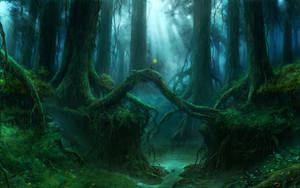 Mago en un Bosque Encantado Masivo — Bosque oscuro Fondos de pantalla