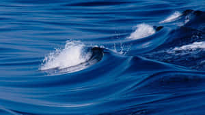 Majestuosas olas del océano bañando la orilla — Olas del mar Fondos de pantalla