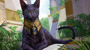 Imágenes de gatos egipcios — Gato Negro Fondos de pantalla